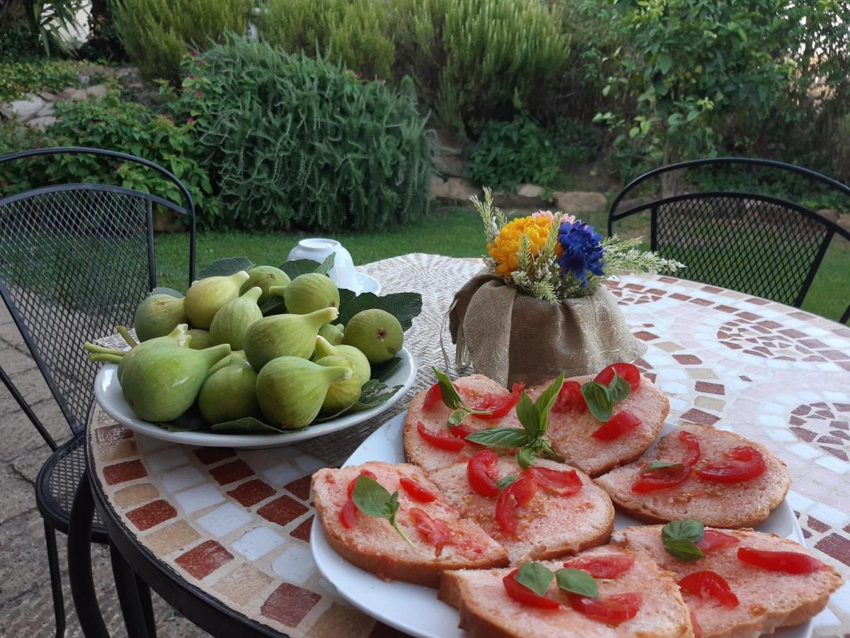 Colleverde Farm stay *