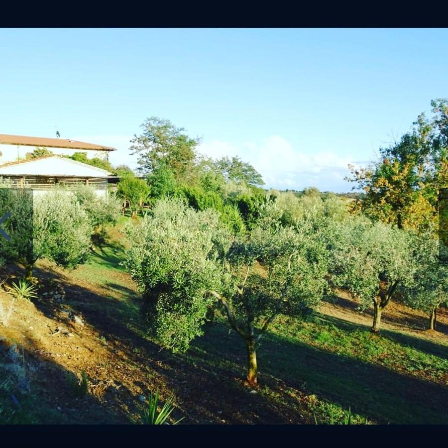Farm stay Colleverde Capalbio