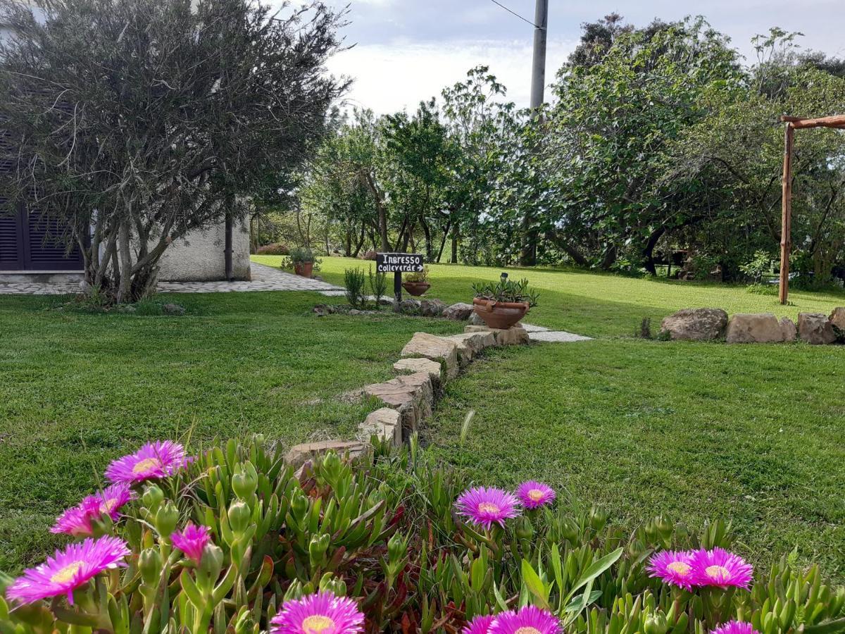 Farm stay Colleverde Capalbio
