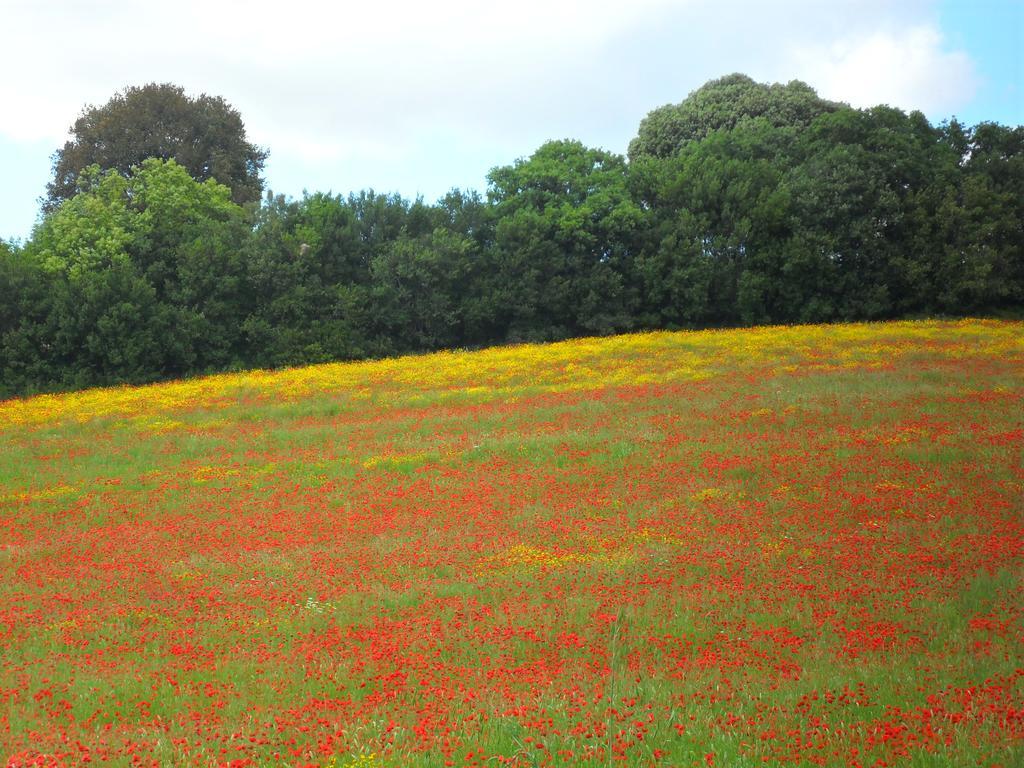 Farm stay Colleverde