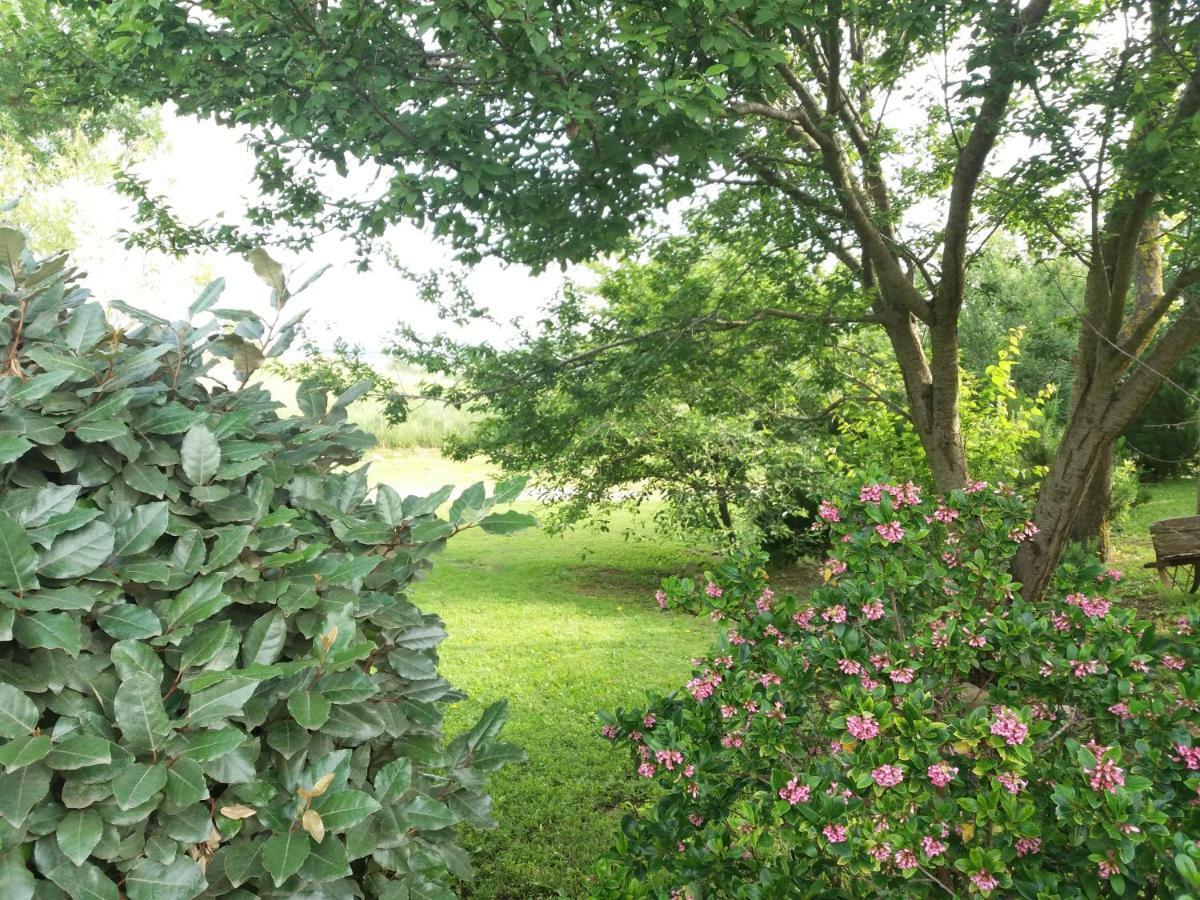 Colleverde Farm stay