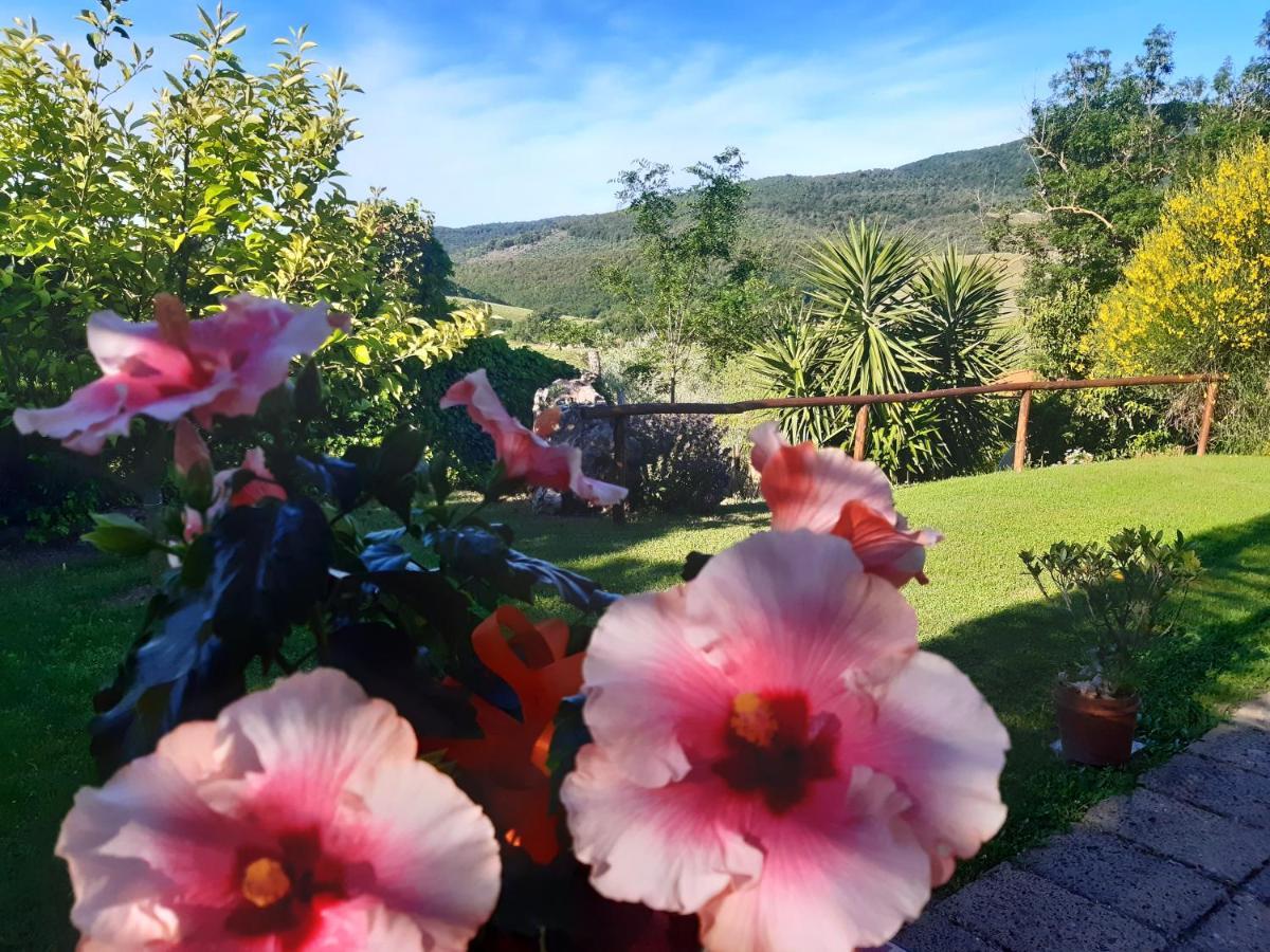 Colleverde Vakantieboerderij *