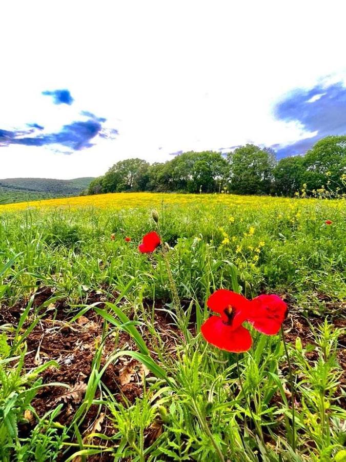 Colleverde Farm stay *