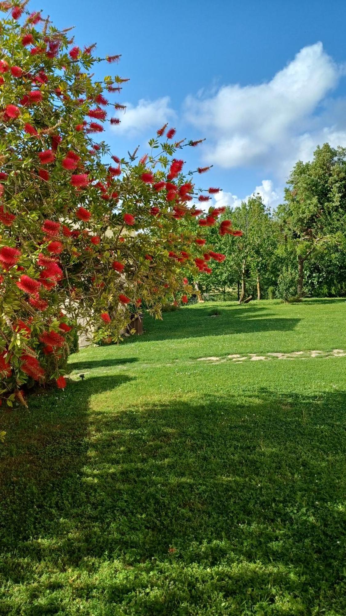 Farm stay Colleverde