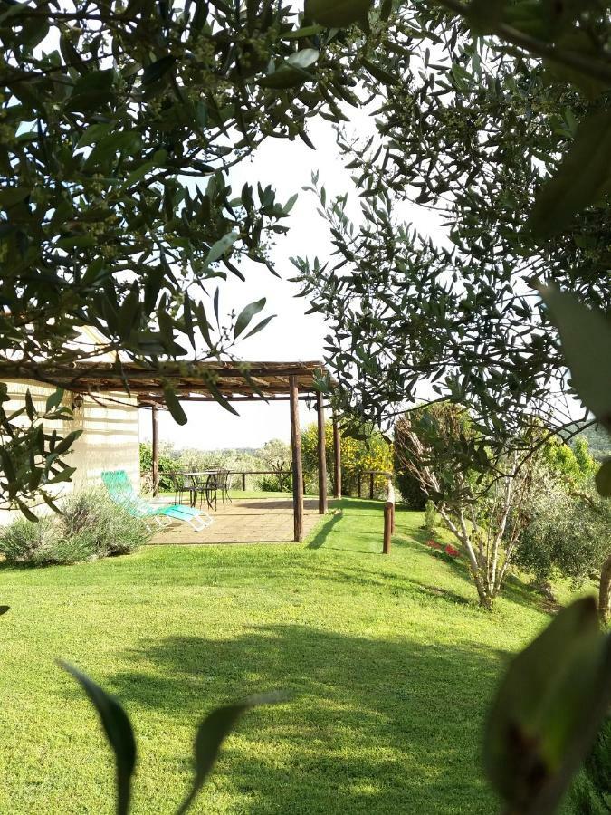 Agriturismo Colleverde