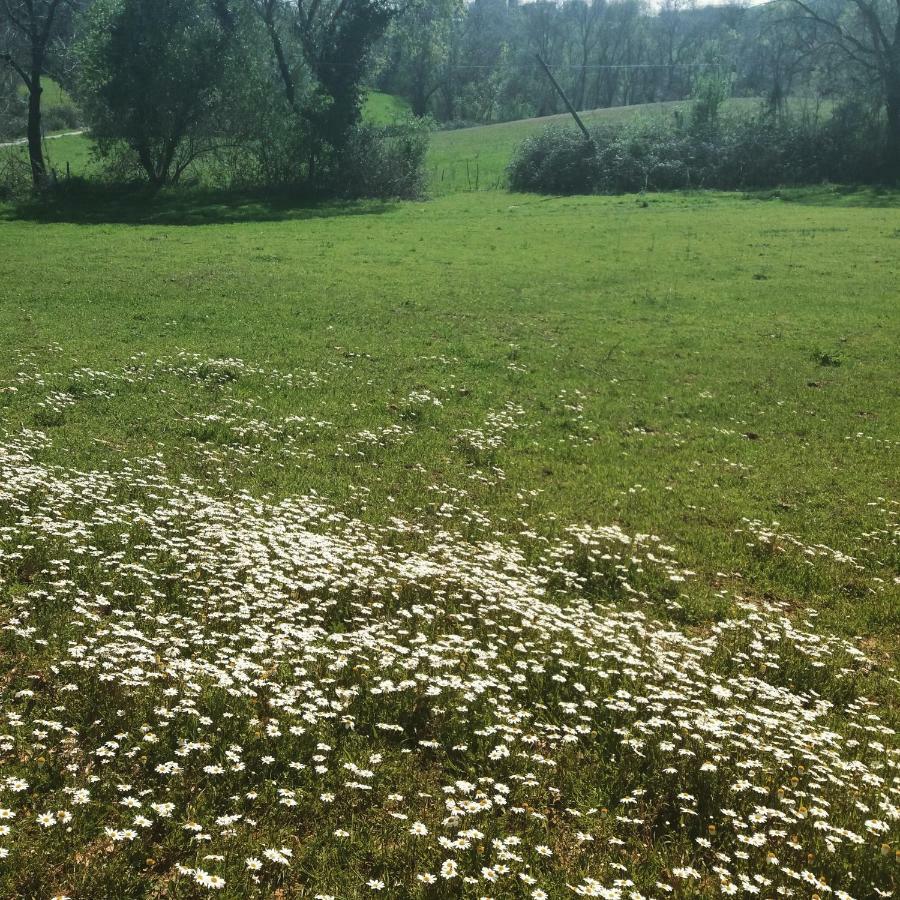 Farm stay Colleverde